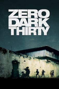 Zero Dark Thirty (2012) download