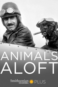 Animals Aloft (2009) download