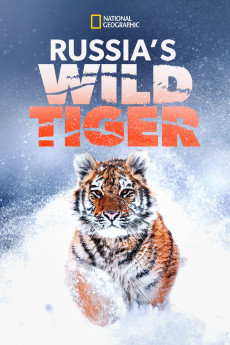 Big Cat Week Russia's Wild Tiger (2022) download