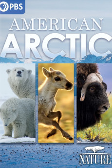 Nature American Arctic