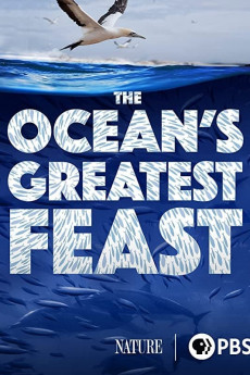 Nature The Ocean's Greatest Feast (2022) download