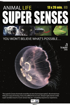 Super Senses (2015) download